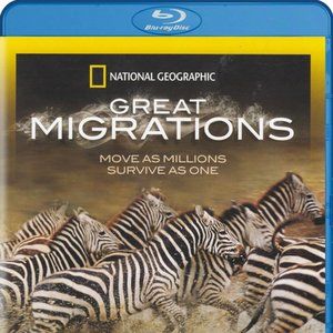 National Geographic: Great Migrations Blu-ray